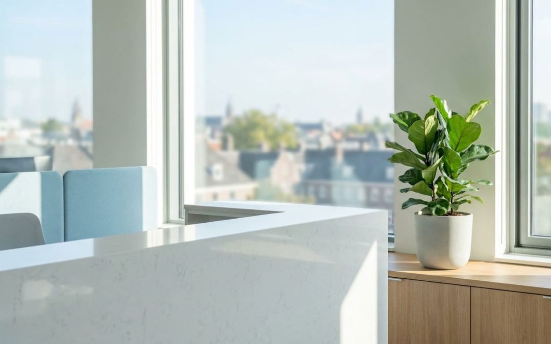 Entreprise nettoyage idf