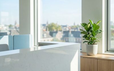 Atouts d&rsquo;une entreprise de nettoyage en IDF pour votre PME